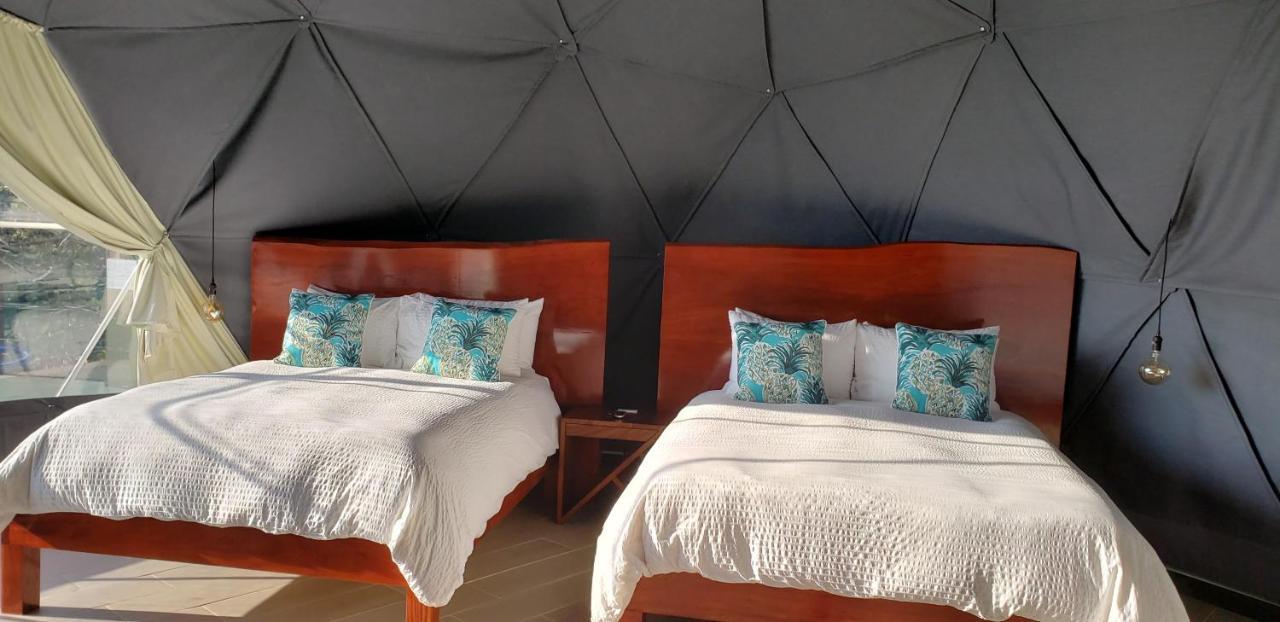 Chira Glamping Resort Monteverde ภายนอก รูปภาพ