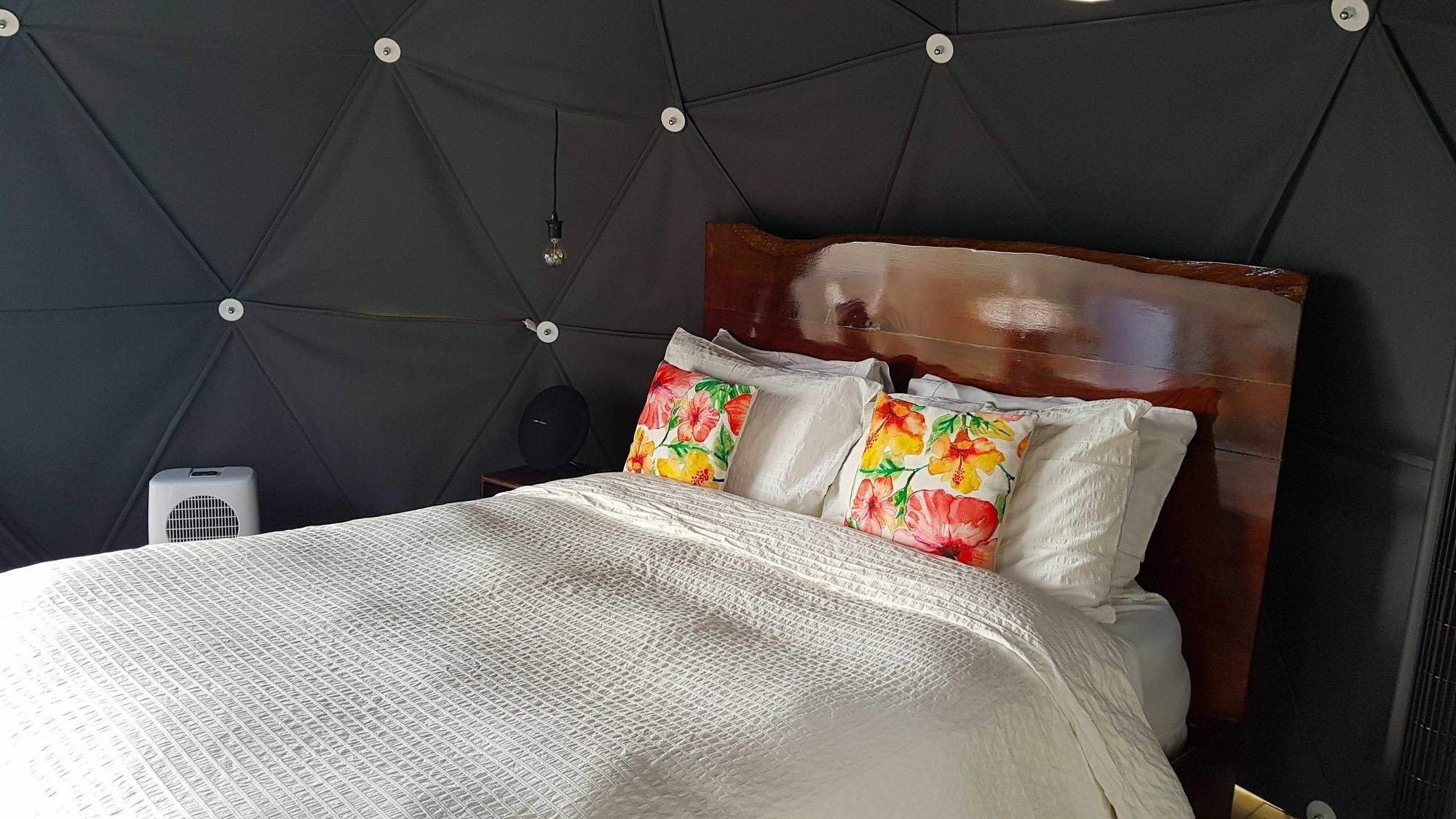 Chira Glamping Resort Monteverde ภายนอก รูปภาพ