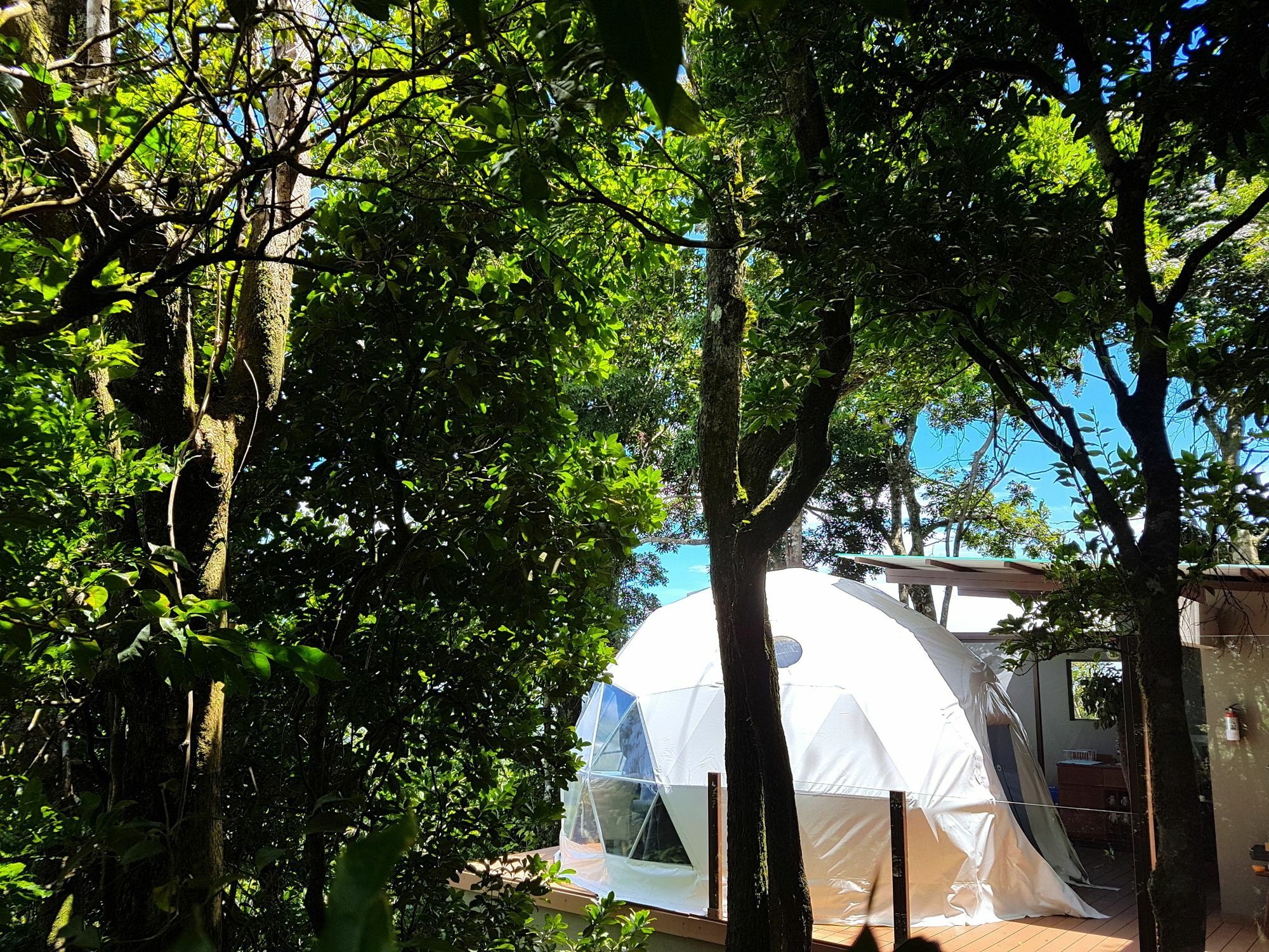 Chira Glamping Resort Monteverde ภายนอก รูปภาพ