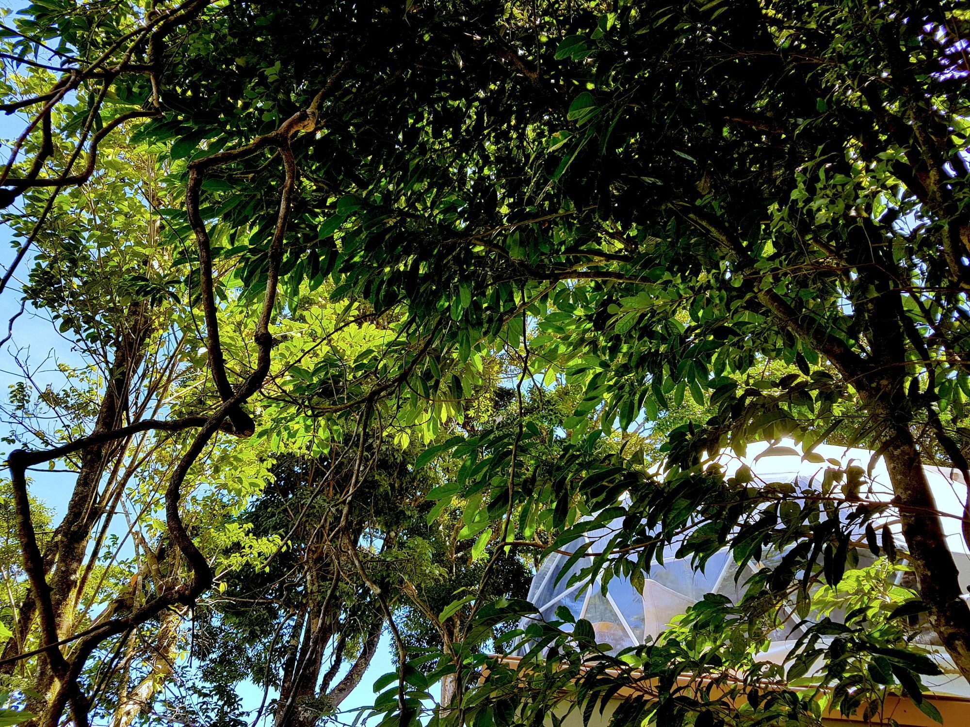 Chira Glamping Resort Monteverde ภายนอก รูปภาพ
